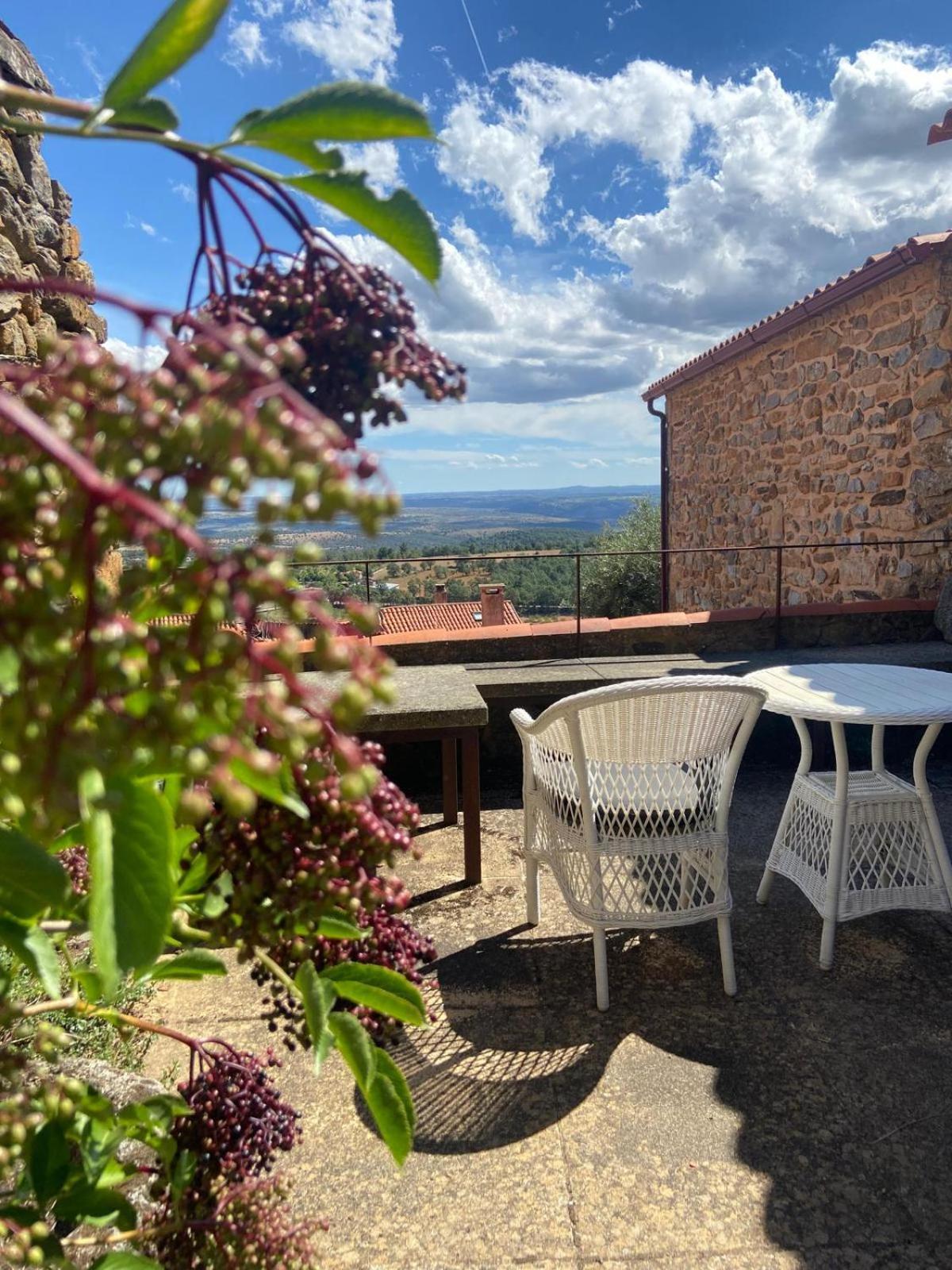 Penzion Casa Da Cisterna Figueira de Castelo Rodrigo Exteriér fotografie